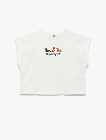 Nakış Detaylı Kısa Kollu Bisiklet Yaka Pamuklu Crop Tişört