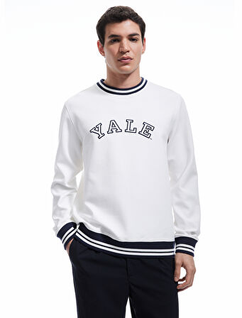 Uzun Kollu Çizgi Detaylı Bisiklet Yaka Lisanslı Yale Baskılı Sweatshirt