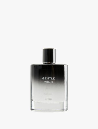 Parfüm Gentle Wind 100 ML