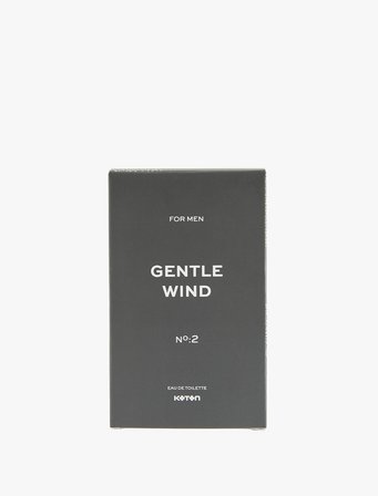 Parfüm Gentle Wind 100 ML