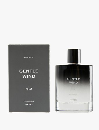 Parfüm Gentle Wind 100 ML