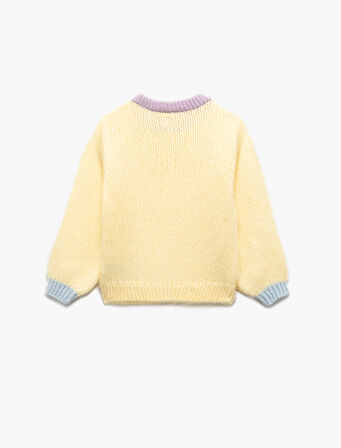 Uzun Kollu Bisiklet Yaka Renk Bloklu Triko Kazak