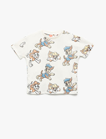 Paw Patrol Baskılı Lisanslı Kısa Kollu Bisiklet Yaka Pamuklu Tişört