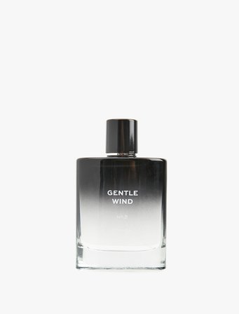 Parfüm Gentle Wind 100 ML