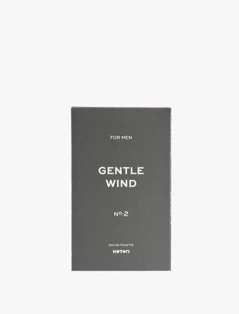 Parfüm Gentle Wind 100 ML