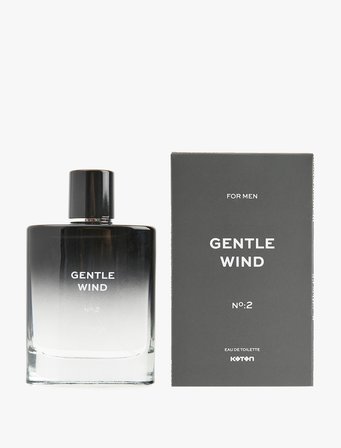 Parfüm Gentle Wind 100 ML
