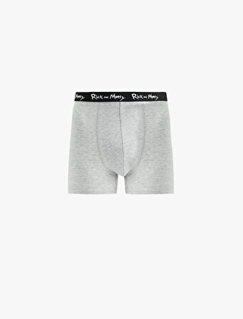 Lisanslı Rick and Morty Baskılı Pamuklu 3'lü Boxer Set