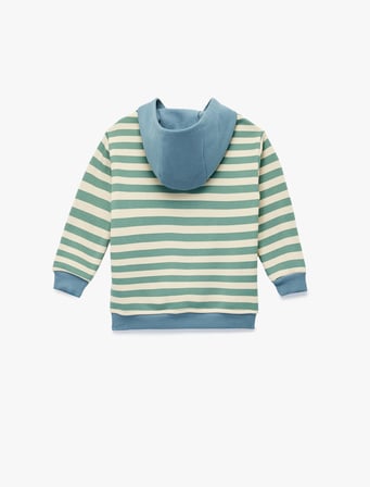 Aslan Baskılı Şardonlu Uzun Kollu Kapşonlu Çizgili Sweatshirt