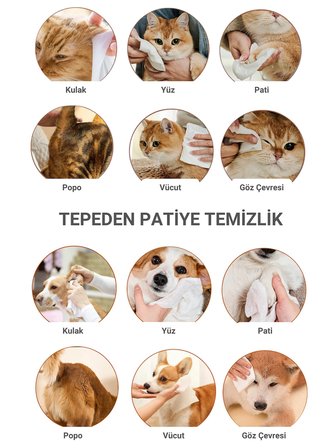 Greenwich Kedi ve Köpek Hijyen Mendili 50 Adet Vegan Temizleme Mendili