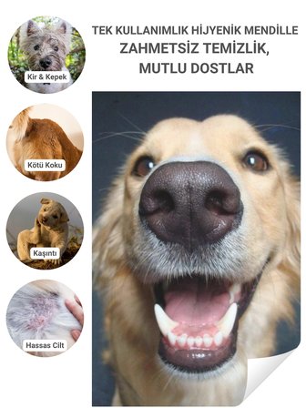 Greenwich Kedi ve Köpek Hijyen Mendili 50 Adet Vegan Temizleme Mendili