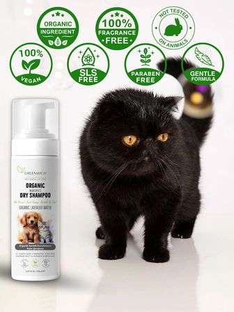 Greenwich Kedi ve Köpek Kuru Şampuanı 150 ml, Durulama Gerektirmeyen Vegan Temizleme Köpüğü, Banyo Aralarında Pratik Tüy Bakımı ve Ferah Görünüm Desteği