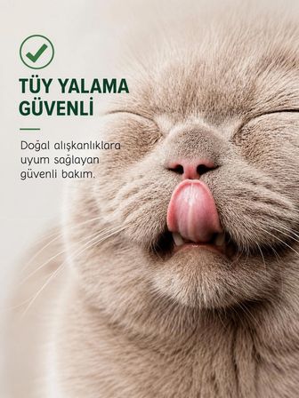 Greenwich Kedi ve Köpek Kuru Şampuanı 150 ml, Durulama Gerektirmeyen Vegan Temizleme Köpüğü, Banyo Aralarında Pratik Tüy Bakımı ve Ferah Görünüm Desteği