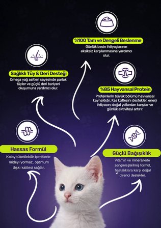 Twinkle Yavru Kediler için Balıklı Tam ve Dengeli Kedi Maması 4 kg