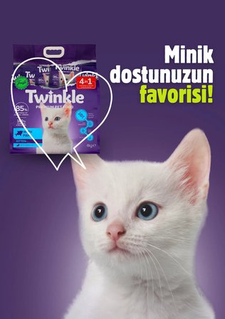 Twinkle Yavru Kediler için Balıklı Tam ve Dengeli Kedi Maması 4 kg