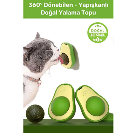 Mucit Home   Yenilebilir Doğal Avokado Stili Kedi Çimeni Dönen Topu