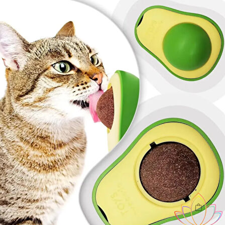 Mucit Home   Yenilebilir Doğal Avokado Stili Kedi Çimeni Dönen Topu