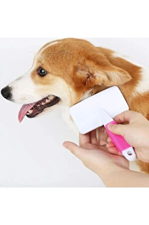 Mucit Home Evcil Hayvan Kedi Köpek Tüy Tarama Kaşıma Fırçası Tarağı Telli Fırça Ped Kedi Köpek Pire Fırçası