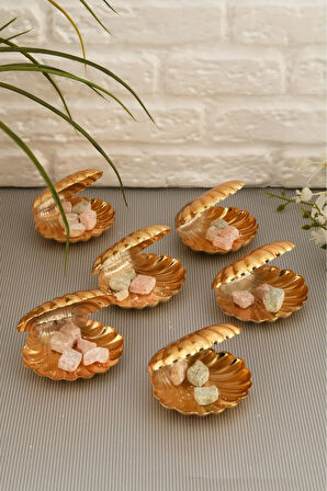 Mucit Home Brano 6 Lı Kahve Yanı Istiridye Lokumluk Gold