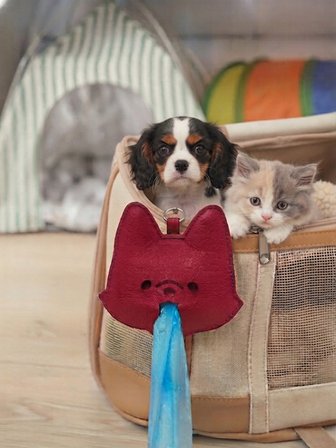 Mucit Home Evcil Hayvan Asma Aparatlı Dışkı Poşeti Taşıma Çantası 