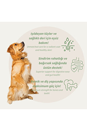 1810 Kuzu Etli Pirinçli Köpek Maması