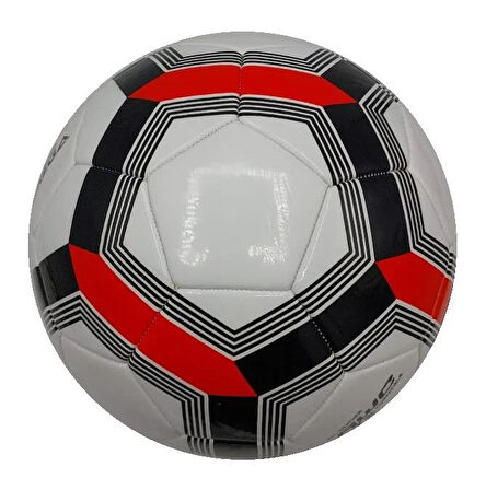 Arega Başlangıç Seviye Futbol Antrenman Topu SSB-41151 01