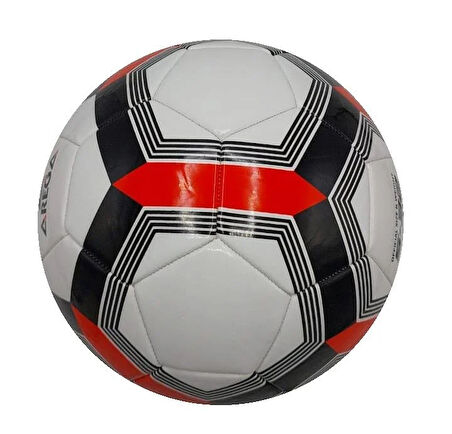 Arega Başlangıç Seviye Futbol Antrenman Topu SSB-41151 01