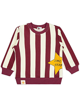 Civil Boys Çizgili Yıldız Baskılı 2-5 Yaş Sweatshirt - Bordo4-5 Yaş