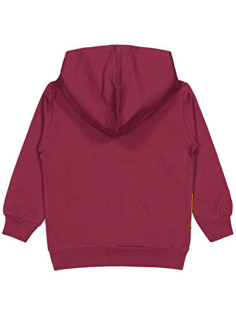 Civil Boys Cool Star Baskılı 2-5 Yaş Sweatshirt - Bordo 2-3 Yaş