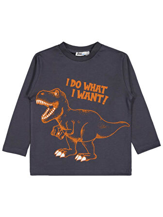 Civil Boys I Do What Baskılı 2-5 Yaş Sweatshirt - Gri 5-6 Yaş