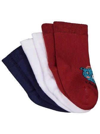 Civil Baby Animal Havlu 6- 3'lü Bebek Erk Çorap Set - Standart