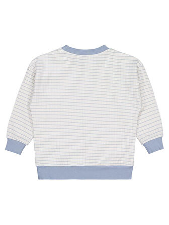 Civil Boys Aslan Nakışlı 2-5 Yaş Sweatshirt - Mavi 2-3 Yaş