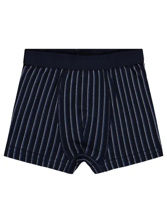 Civil Boys Derbili 2-10 Yaş Erkek Çocuk 2'li Boxer - Standart