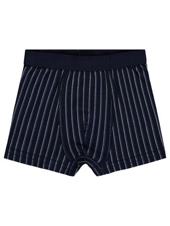Civil Boys Derbili 2-10 Yaş Erkek Çocuk 2'li Boxer - Standart