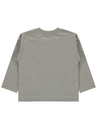 Civil Boys Dınosaur Baskılı 2-5 Yaş Sweatshirt  - Gri