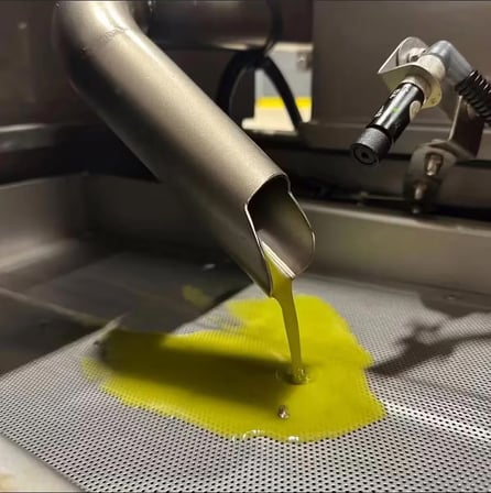 Milas Memecik Erken Hasat Soğuk Sıkım Zeytinyağı Yeşil Seri Dengeli Meyvemsi %0.2 Asit 250 ml