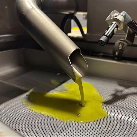 Hediyelik Milas Memecik Erken Hasat Soğuk Sıkım Zeytinyağı Turuncu Seri Yoğun Meyvemsi 100 ml 3lü