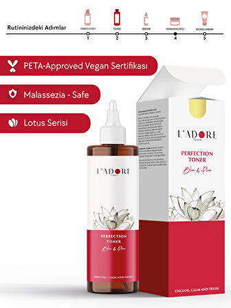 Perfection Toner - Canlandırıcı Ve Gözenek Sıkılaştırıcı Tonik (3% PHA + 1%BHA)