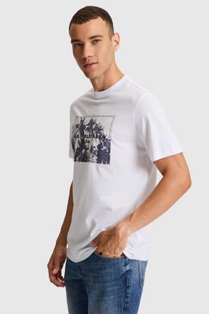 U.S. Polo Assn. Erkek Tişört