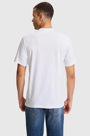 U.S. Polo Assn. Erkek Tişört
