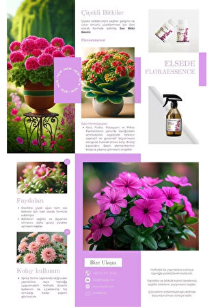 ELSEDE Floraessence Sprey Çiçekli Bitkiler Için Bitki Besini – Aminoasitli Ve Hızlı Etkili Içerik