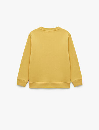 Dinozor Baskılı Uzun Kollu Şardonlu Bisiklet Yaka Sweatshirt