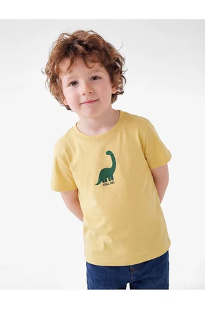 Koton Erkek Bebek Kısa Kollu Bisiklet Yaka Pamuklu Dinozor Baskılı Tişört
