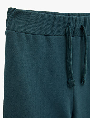 Pamuklu Dinozor Baskılı Beli Bağcıklı Şardonlu Jogger Eşofman Altı