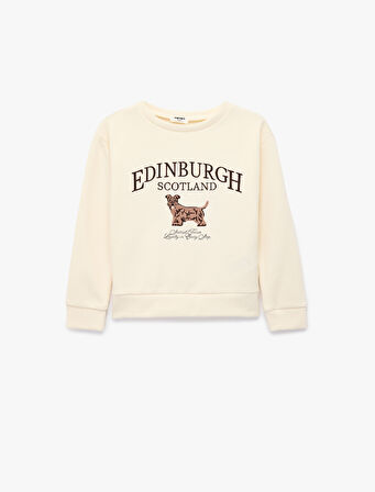 Nakış Detaylı Uzun Kollu Bisiklet Yaka Oversize Sweatshirt