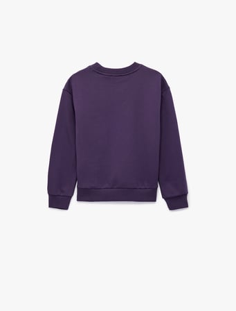 Taş Detaylı Uzun Kollu Bisiklet Yaka Şardonlu Pamuklu Sweatshirt