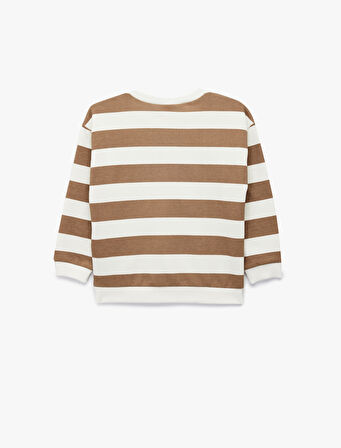 Pamuklu Şardonlu Uzun Kollu Bisiklet Yaka Dinozor Baskılı Çizgili Sweatshirt