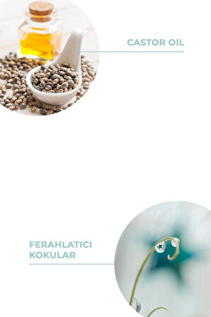 And You Kedi Kumu Koku Giderici Sprey Fresh 100 ml
