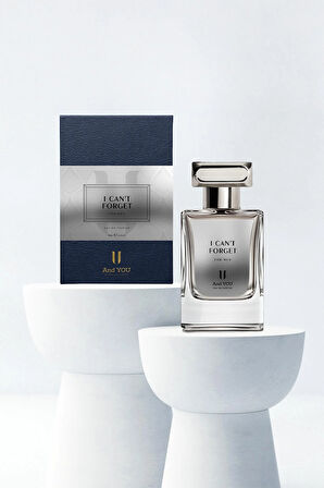 And You I Can't Forget 65 ml Erkek Parfüm