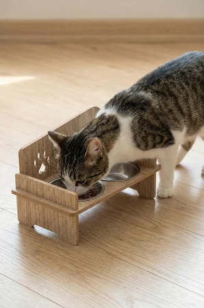 Ahşap Kedi Köpek Mama Su Kabı Standı, Metal Suluk, Kedi Köpek Halısı