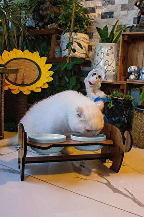 Ahşap Kedi Mama Seramik Su Kabı Standı,Kedili Mama Kabı, Hediye Kedi Halısı